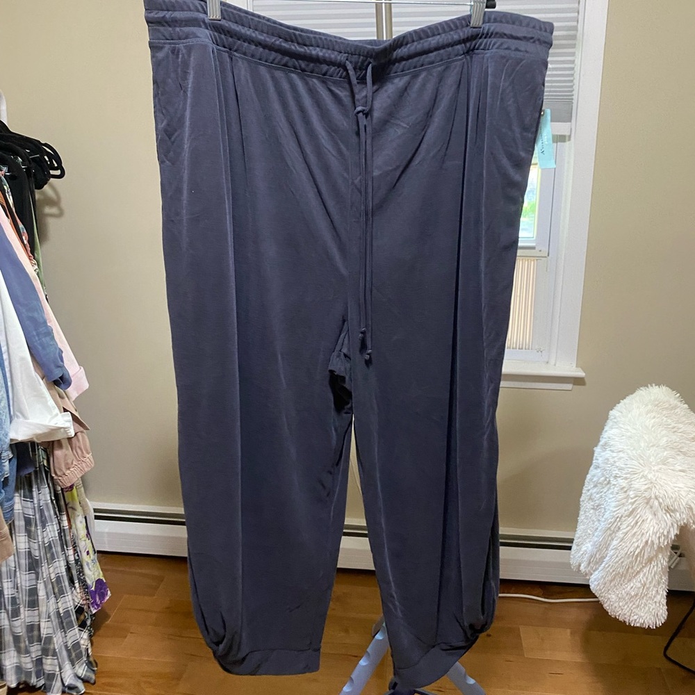NWT Anthropologie Plus size jogger size 3xl